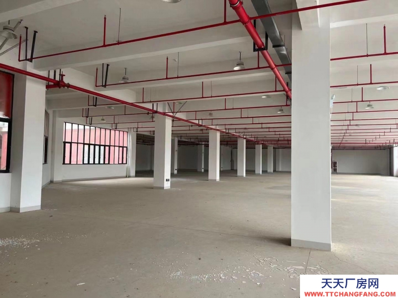 台州市仙居(出租) 1万多平方高速公路旁边（新厂房出租、交通便利，具体面谈  酒类