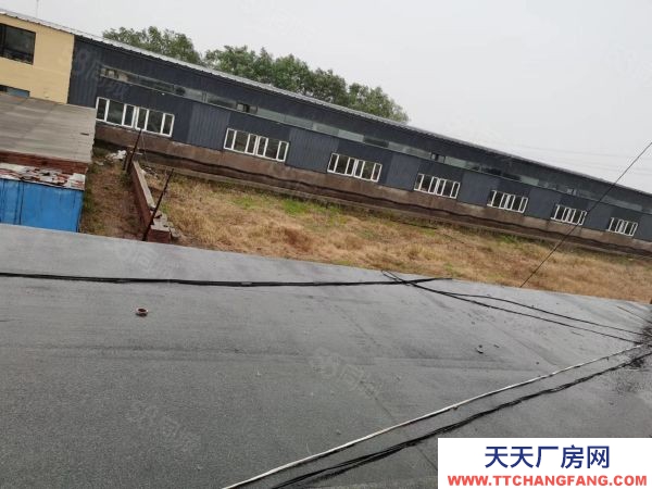 苏家屯周边厂房出售，11亩地，只需160万