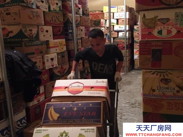苏家屯 冷库（气调库） 出租