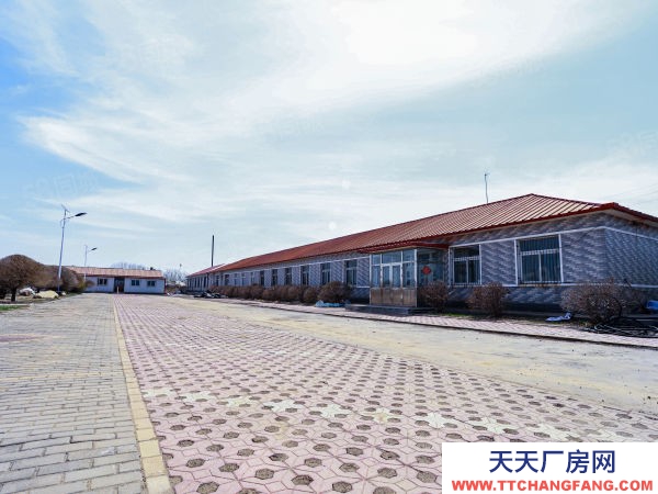 辽中25000平国有用地，售价650万厂房板正，先到先得