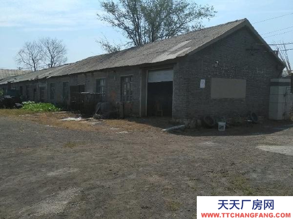 辽中实际面积4560平米，带100延米门市，位于镇中心