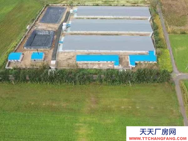 辽中年建养猪场，设施齐全，猪舍面积5500平，占地20亩