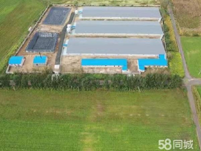 辽中年建养猪场，设施齐全，猪舍面积5500平，占地20亩图1
