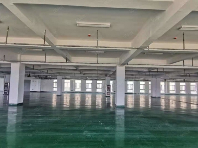 (出租) 标准化厂房200方至5000方 地坪墙面已完善 三相电入户图2