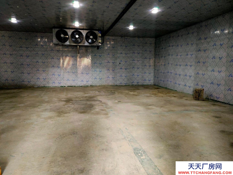 (出租) 冷库仓库厂房 保鲜冷冻库低价对外招商出租