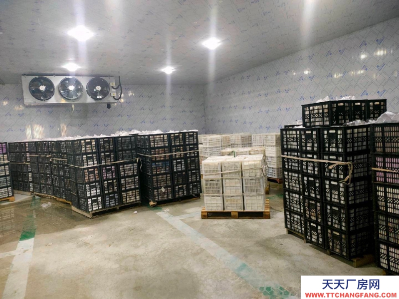 (出租) 冷库仓库厂房 保鲜冷冻库低价对外招商出租