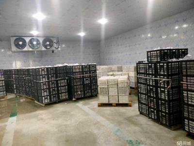 (出租) 冷库仓库厂房 保鲜冷冻库低价对外招商出租图4