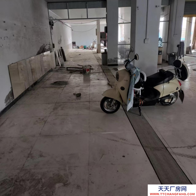(出租) 306省道路边，有动力电，出入方便，距离高速路入口近