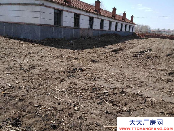 康平县康平城区 可做养殖场 出租出售 价格可以 急售