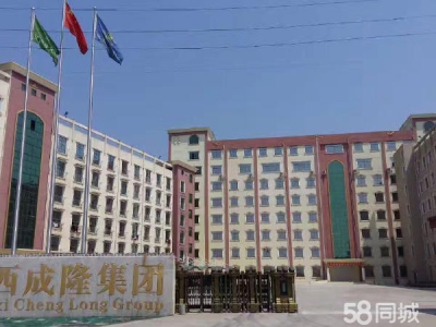 宜春市丰城速冻食品厂房  出租丰城郊区高层厂房图1