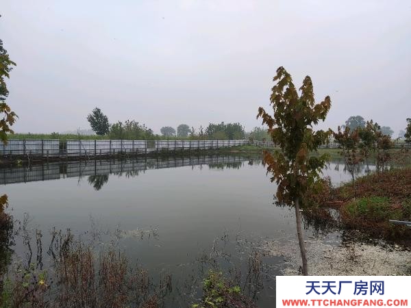 康平肉羊养殖场，占地13000平，建筑4000平，农用设施用地