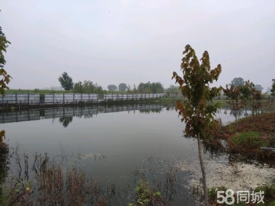 康平肉羊养殖场，占地13000平，建筑4000平，农用设施用地图1