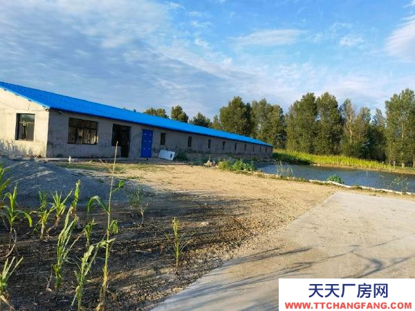 法库养殖厂房出租配套设施完善