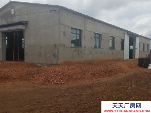 法库独门独院今年新建筑的占地面积1500平左右，厂房400平。