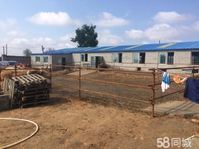 法库出售农村老小学，宝地
