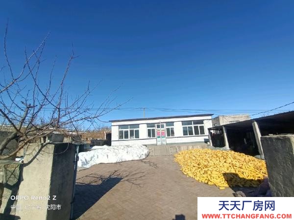 法库正房是平房110平 场地1万平左右 适合养殖