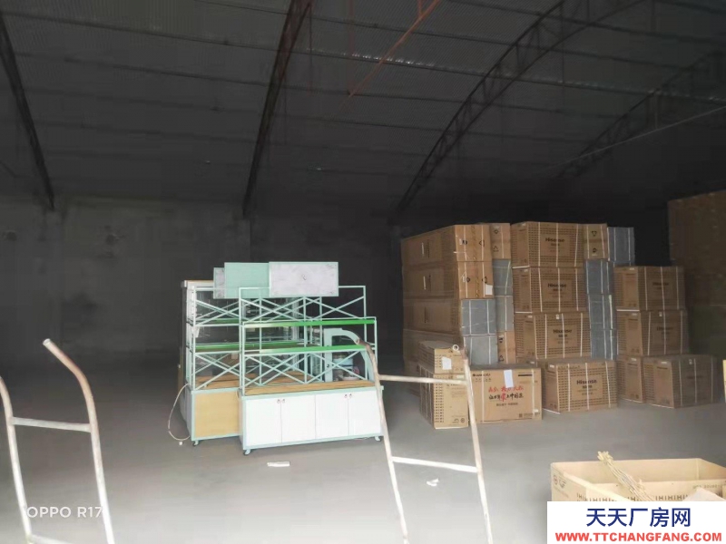 定州 南城(出租) 交通便利 水电齐全 大车进出方便