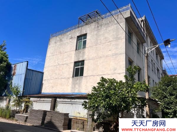 宜春市樟树糕点厂房 2000平，红本，土地证房产证