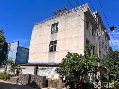 宜春市樟树糕点厂房 2000平，红本，土地证房产证图2
