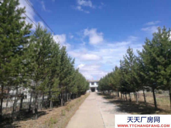 西岗 出租出售根河市满归镇华茂大院
