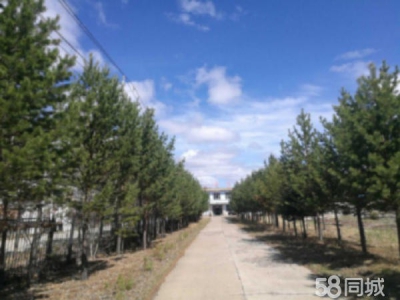 西岗 出租出售根河市满归镇华茂大院图1