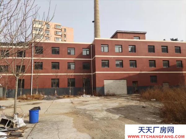 西岗八一路林茂街25号的地上地下带院独楼