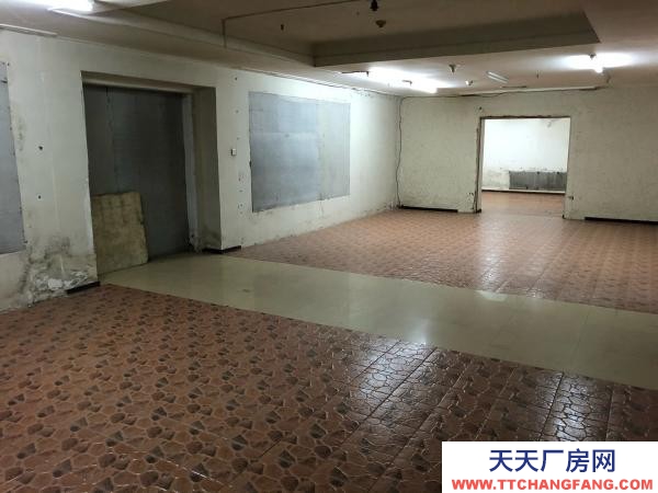 西岗区奥林匹克高尔基路仓库 50/100/150