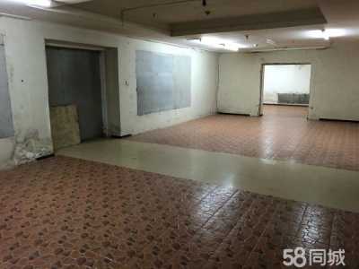 西岗区奥林匹克高尔基路仓库 50/100/150