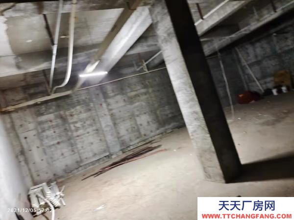 西岗交通方便，近大菜市，有水，价格面议