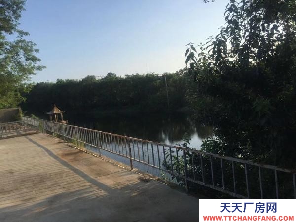 旅顺口火石岭厂地出租 环境好