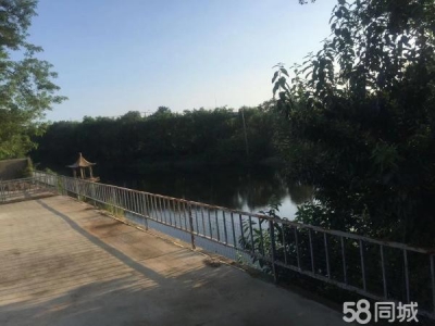 旅顺口火石岭厂地出租 环境好图1