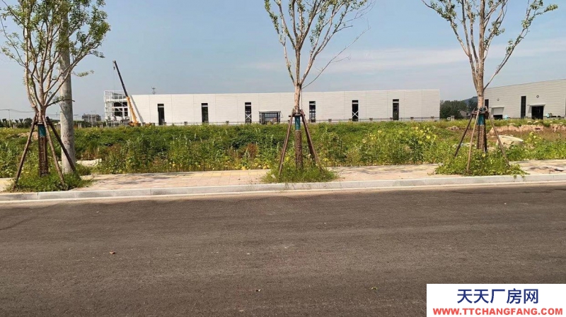 (出租) 萧县姬村新建厂房，诚信出租