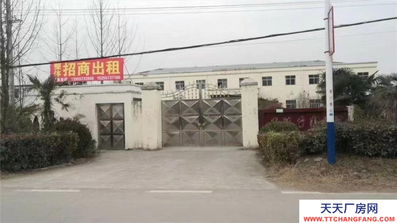 (出租) 招商出租砀山薛楼园区带院办公楼
