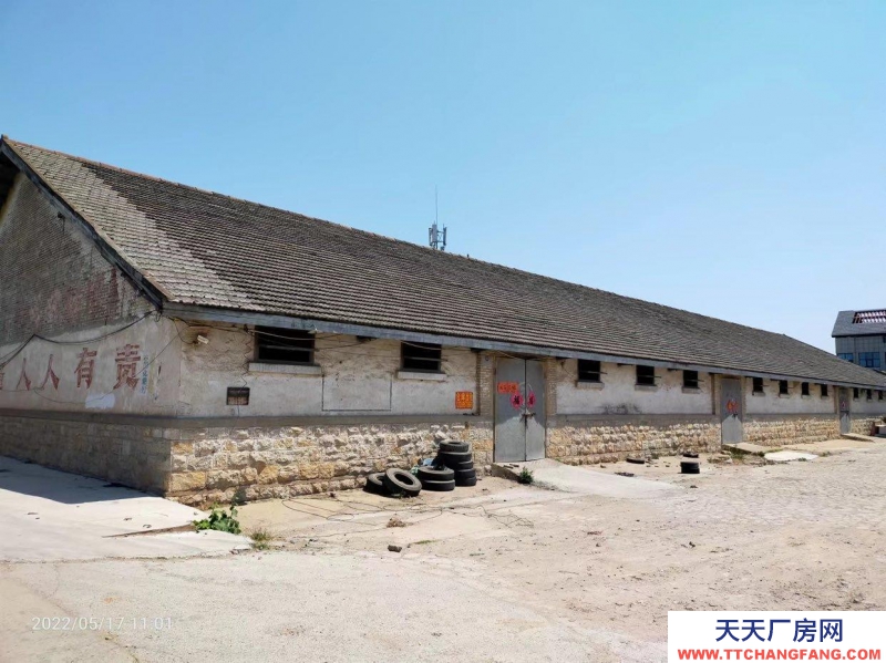 (出租) 出租砀山县道南一库仓库