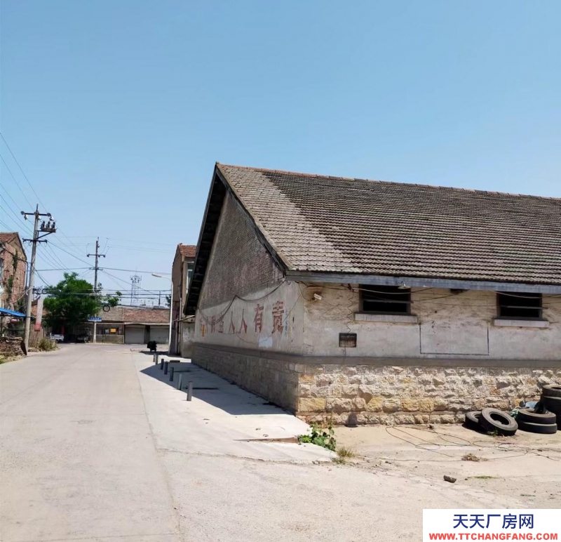 (出租) 出租砀山县道南一库仓库