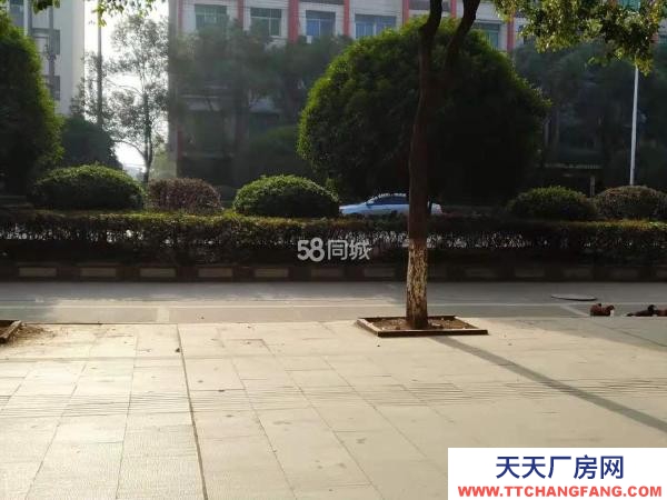 宜春市樟树物资仓库  出租樟树老城区药都公园