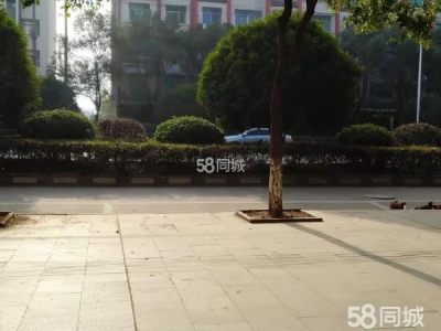 宜春市樟树物资仓库  出租樟树老城区药都公园图1