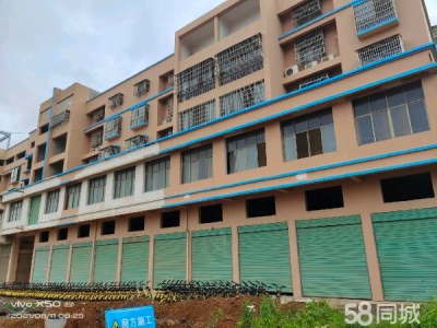 宜春市万载物资仓库 自建全产权房靠环湖南路图2