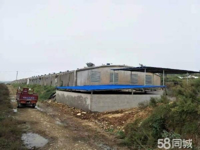 瓦房店自己家养殖场出租，适合各种养殖业图1