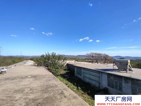瓦房店养殖场出租(附带外部十几亩地可以圈养)