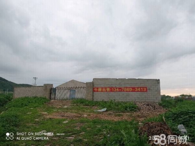 瓦房店看清实物在打电话，非诚勿扰！图1