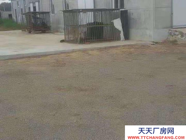 瓦房店元台镇厂房，场地