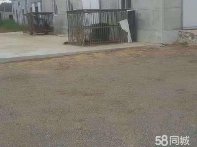 瓦房店元台镇厂房，场地图1