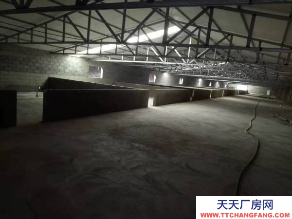 普兰店新建养猪场招租 可以养育肥猪，也可以养后背母猪，