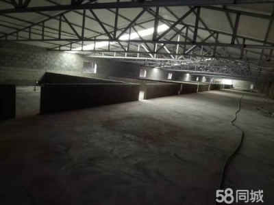 普兰店新建养猪场招租 可以养育肥猪，也可以养后背母猪，图1