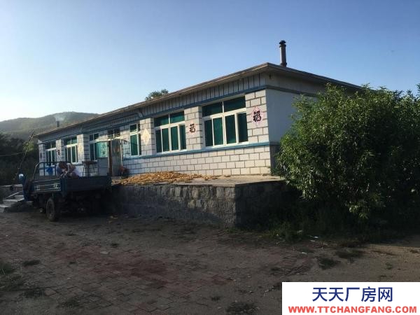 普兰店出租出售居住养殖休闲，三相电，养殖开厂居住