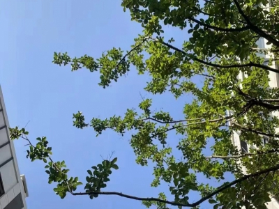 出售主城区唯一产权可分割园区图5