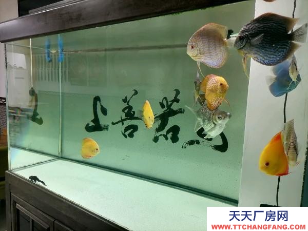 新抚位置好，停车办公，厂房
