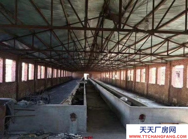 新抚二十五亩肉牛养殖场可养1000头肉牛