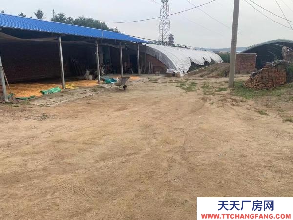 新抚出租养殖场地。设备齐全